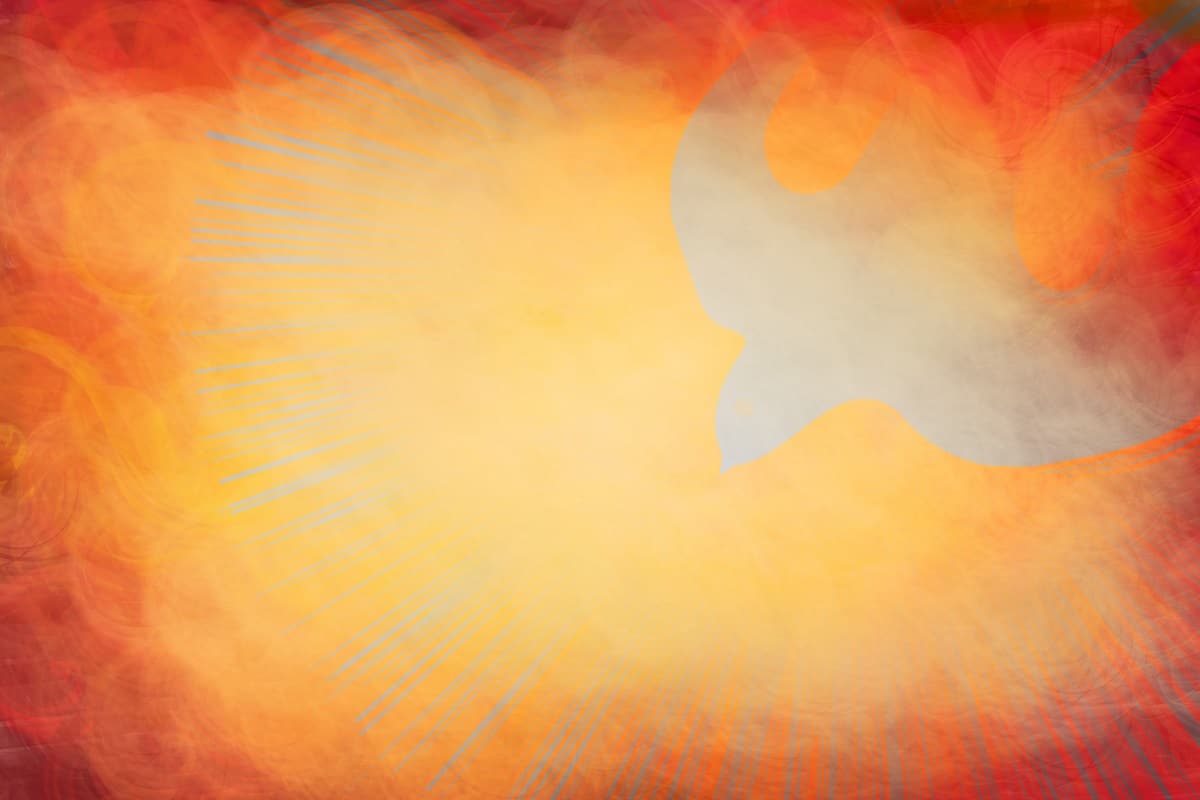 Burning Dove Meaning